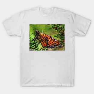 Hidden beauty T-Shirt